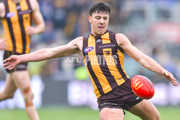 AFL 2024 Round 24 - Hawthorn v North Melbourne - A-53336067