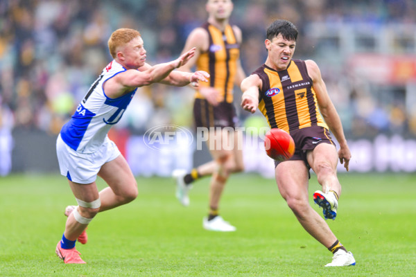 AFL 2024 Round 24 - Hawthorn v North Melbourne - A-53336068