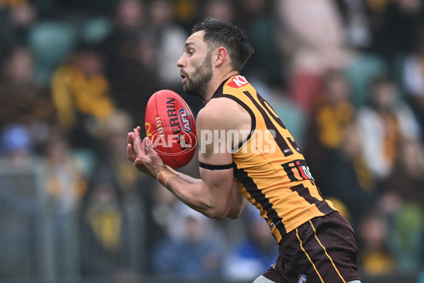 AFL 2024 Round 24 - Hawthorn v North Melbourne - A-53338505