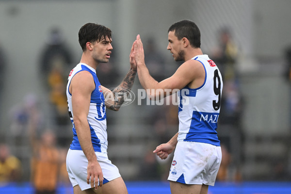 AFL 2024 Round 24 - Hawthorn v North Melbourne - A-53338507