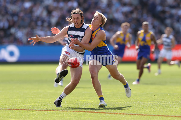 AFL 2024 Round 24 - Geelong v West Coast - A-53338511