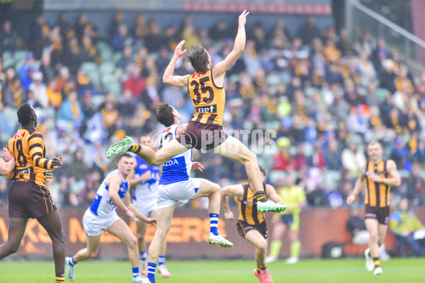 AFL 2024 Round 24 - Hawthorn v North Melbourne - A-53338512