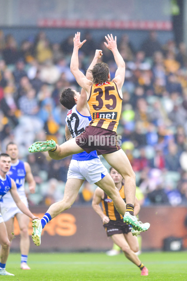AFL 2024 Round 24 - Hawthorn v North Melbourne - A-53338513