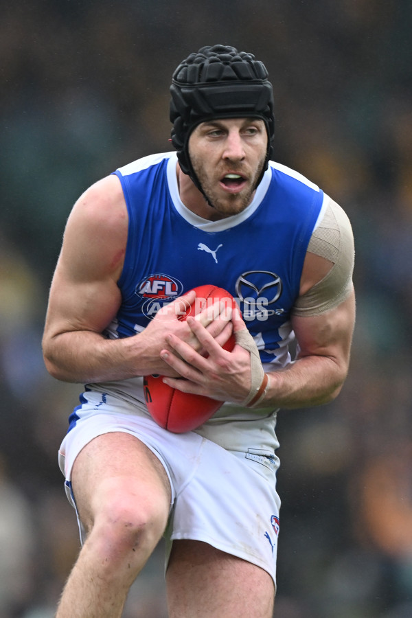 AFL 2024 Round 24 - Hawthorn v North Melbourne - A-53338520