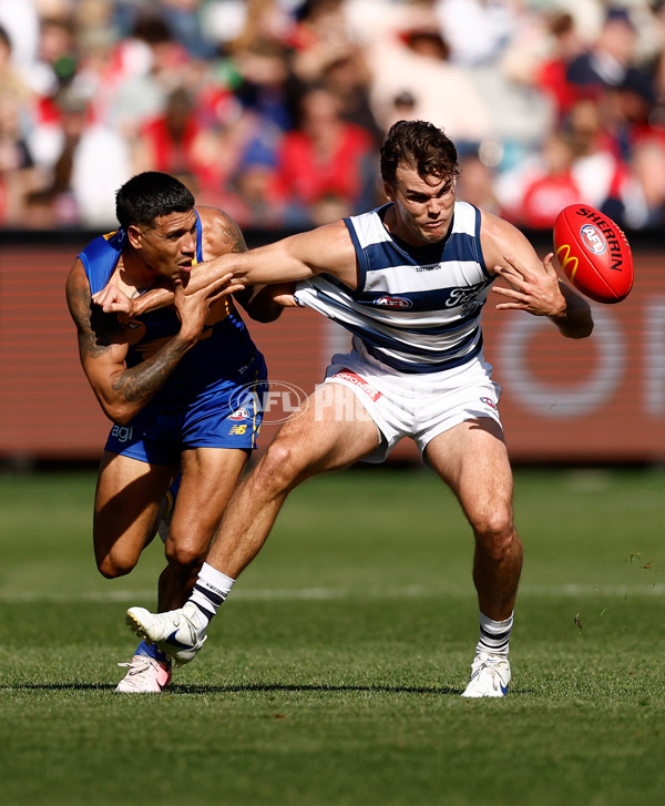 AFL 2024 Round 24 - Geelong v West Coast - A-53338523