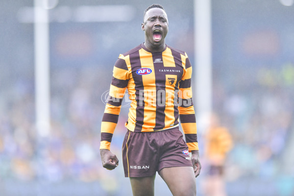 AFL 2024 Round 24 - Hawthorn v North Melbourne - A-53338524