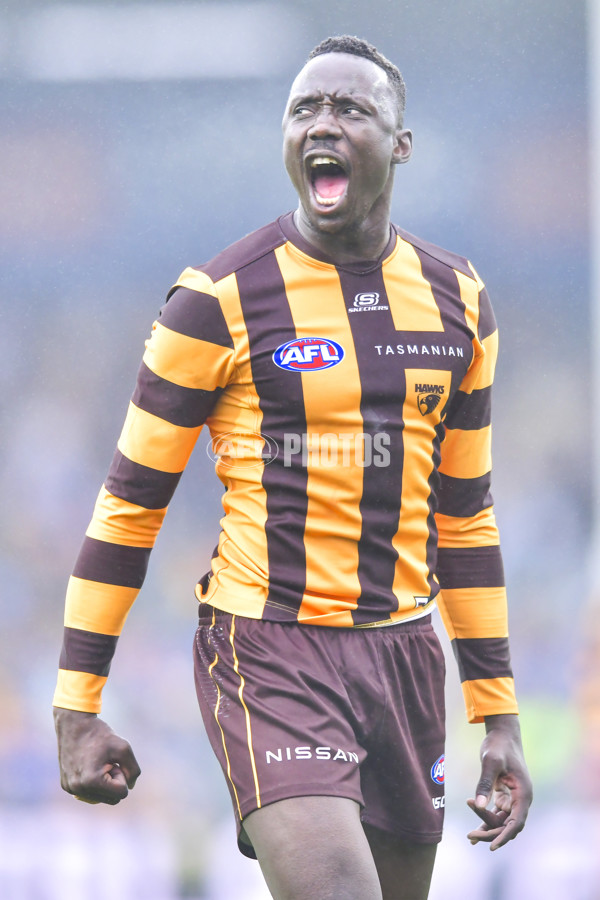 AFL 2024 Round 24 - Hawthorn v North Melbourne - A-53338525