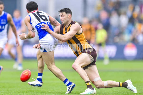 AFL 2024 Round 24 - Hawthorn v North Melbourne - A-53338528