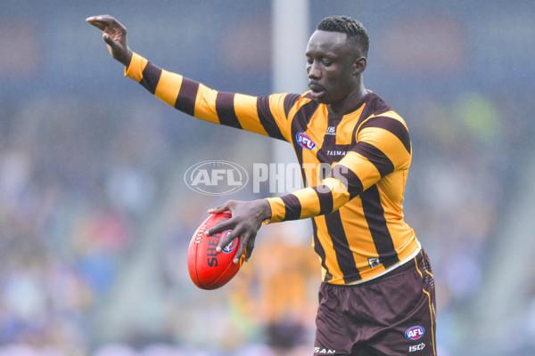 AFL 2024 Round 24 - Hawthorn v North Melbourne - A-53338534
