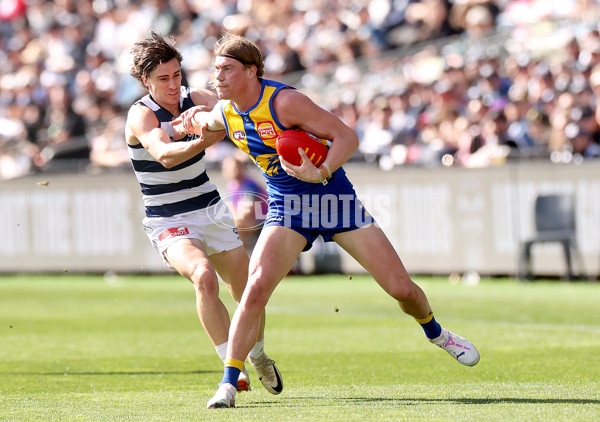 AFL 2024 Round 24 - Geelong v West Coast - A-53338538