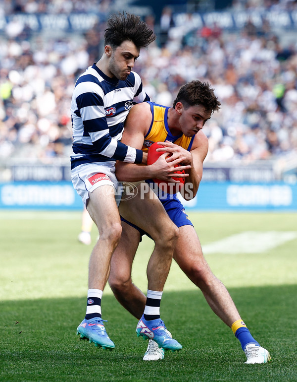 AFL 2024 Round 24 - Geelong v West Coast - A-53338541