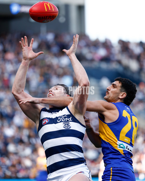 AFL 2024 Round 24 - Geelong v West Coast - A-53338545