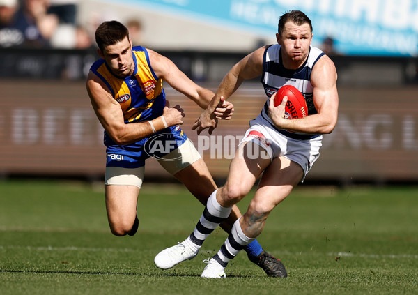 AFL 2024 Round 24 - Geelong v West Coast - A-53338558