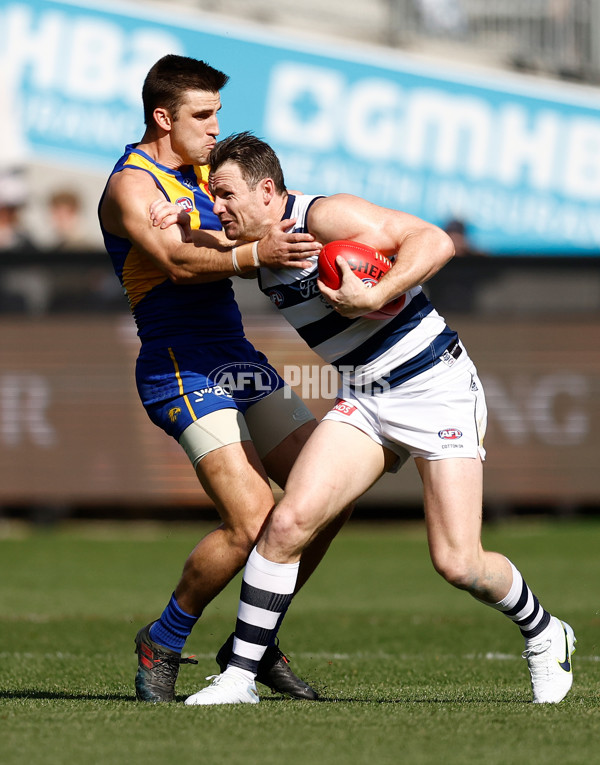 AFL 2024 Round 24 - Geelong v West Coast - A-53338561