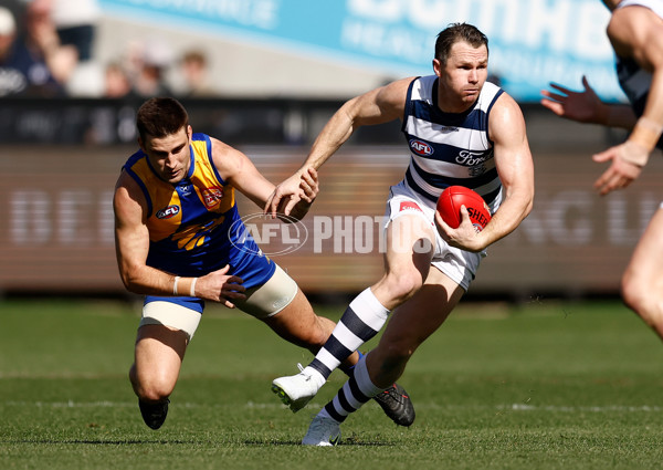 AFL 2024 Round 24 - Geelong v West Coast - A-53338566