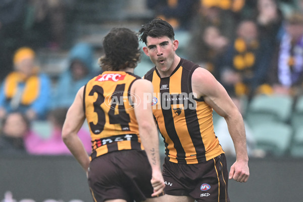 AFL 2024 Round 24 - Hawthorn v North Melbourne - A-53338568