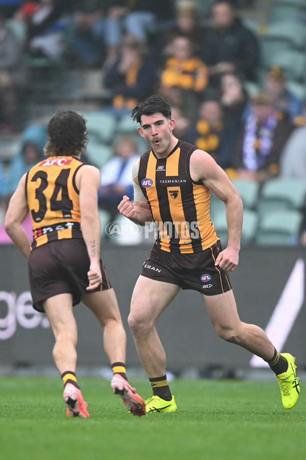 AFL 2024 Round 24 - Hawthorn v North Melbourne - A-53338583