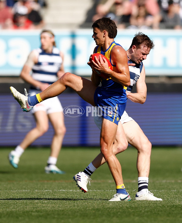 AFL 2024 Round 24 - Geelong v West Coast - A-53338599