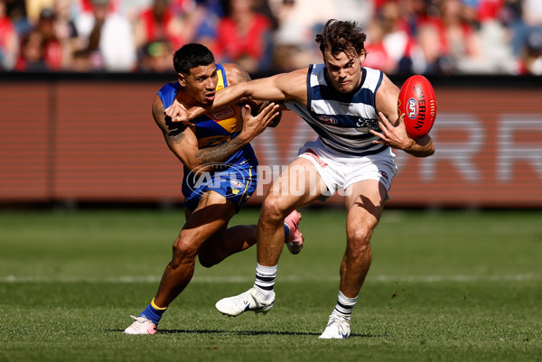 AFL 2024 Round 24 - Geelong v West Coast - A-53338912