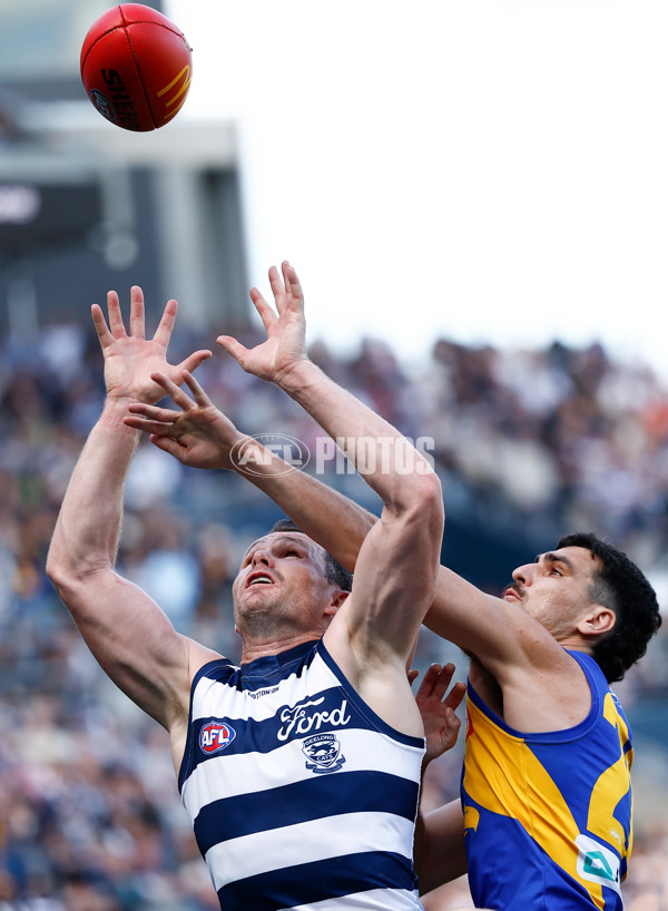 AFL 2024 Round 24 - Geelong v West Coast - A-53338928