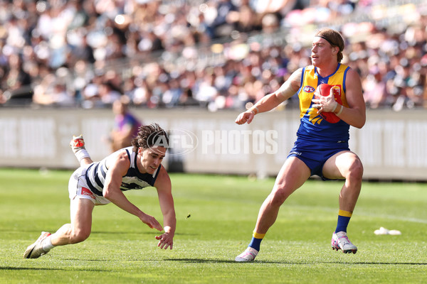 AFL 2024 Round 24 - Geelong v West Coast - A-53338953