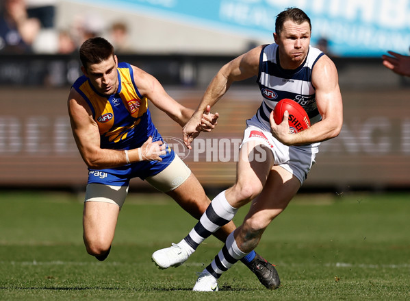 AFL 2024 Round 24 - Geelong v West Coast - A-53338990