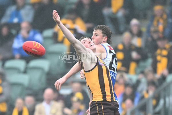 AFL 2024 Round 24 - Hawthorn v North Melbourne - A-53339007