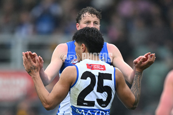 AFL 2024 Round 24 - Hawthorn v North Melbourne - A-53340828