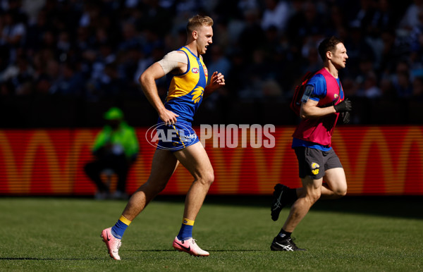 AFL 2024 Round 24 - Geelong v West Coast - A-53340844