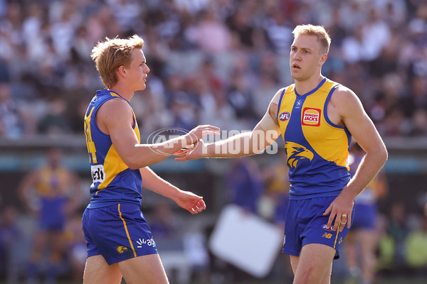 AFL 2024 Round 24 - Geelong v West Coast - A-53340845