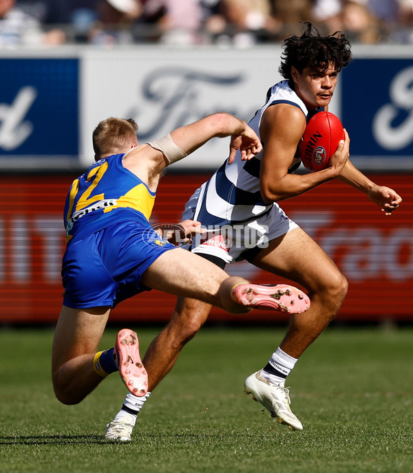 AFL 2024 Round 24 - Geelong v West Coast - A-53340848