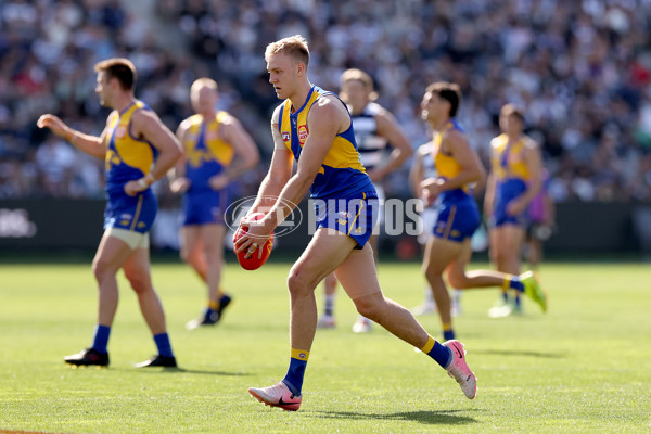 AFL 2024 Round 24 - Geelong v West Coast - A-53340849