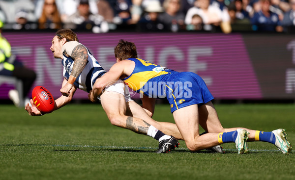 AFL 2024 Round 24 - Geelong v West Coast - A-53340864