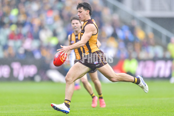 AFL 2024 Round 24 - Hawthorn v North Melbourne - A-53340889