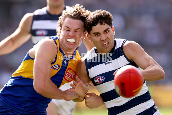 AFL 2024 Round 24 - Geelong v West Coast - A-53340896