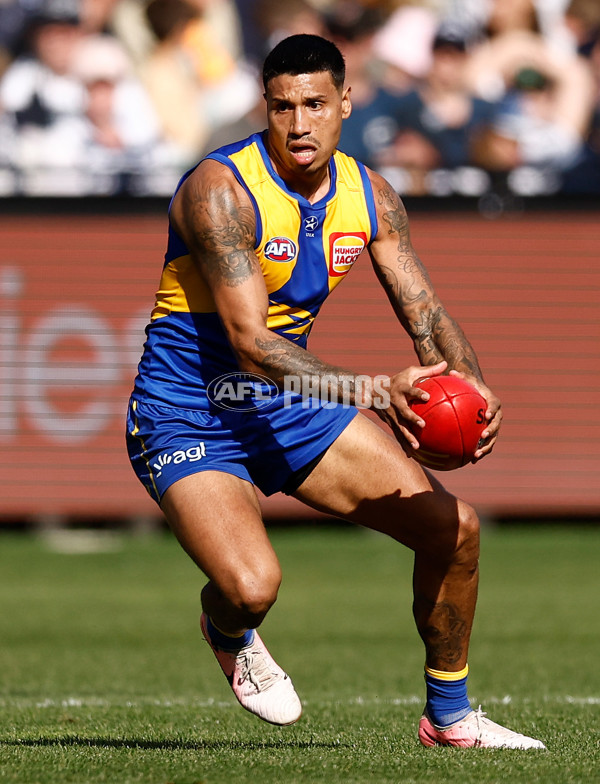 AFL 2024 Round 24 - Geelong v West Coast - A-53340901