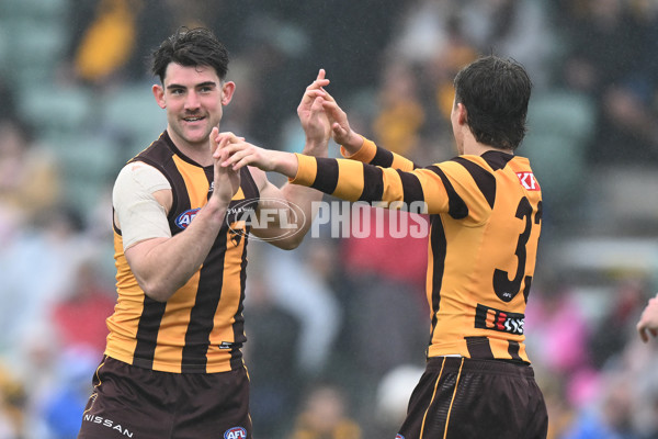 AFL 2024 Round 24 - Hawthorn v North Melbourne - A-53340910