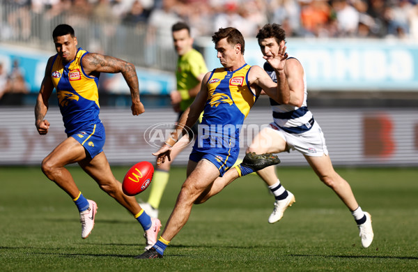 AFL 2024 Round 24 - Geelong v West Coast - A-53340920