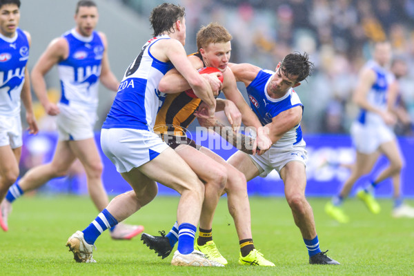 AFL 2024 Round 24 - Hawthorn v North Melbourne - A-53340921