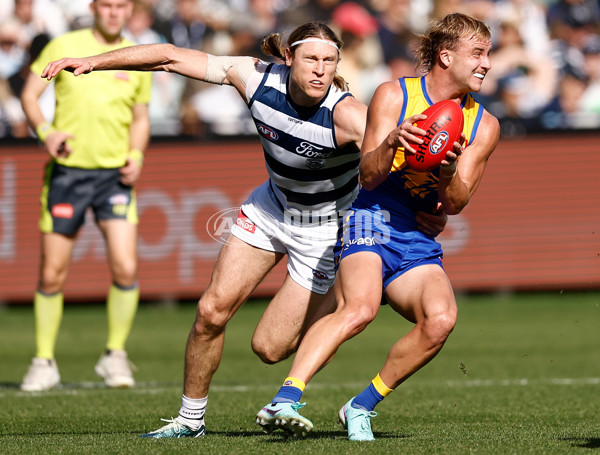 AFL 2024 Round 24 - Geelong v West Coast - A-53340922