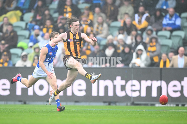 AFL 2024 Round 24 - Hawthorn v North Melbourne - A-53341939