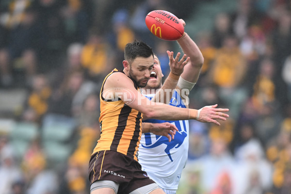 AFL 2024 Round 24 - Hawthorn v North Melbourne - A-53341960