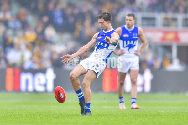 AFL 2024 Round 24 - Hawthorn v North Melbourne - A-53341971