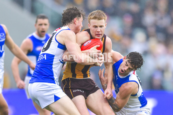 AFL 2024 Round 24 - Hawthorn v North Melbourne - A-53341975