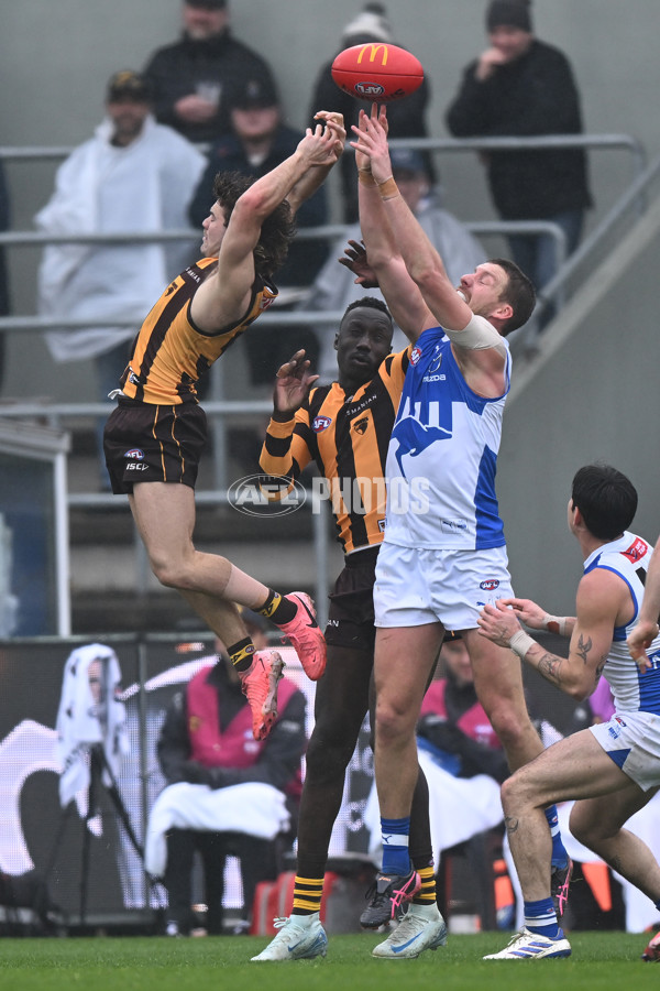 AFL 2024 Round 24 - Hawthorn v North Melbourne - A-53341982