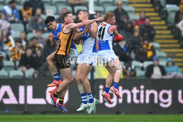 AFL 2024 Round 24 - Hawthorn v North Melbourne - A-53341984