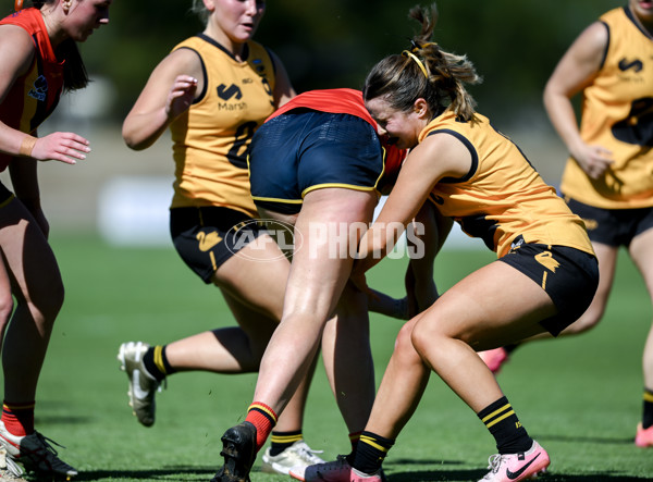 Marsh AFL Championships U18 Girls 2024 - South Australia v Western Australia - A-53341986