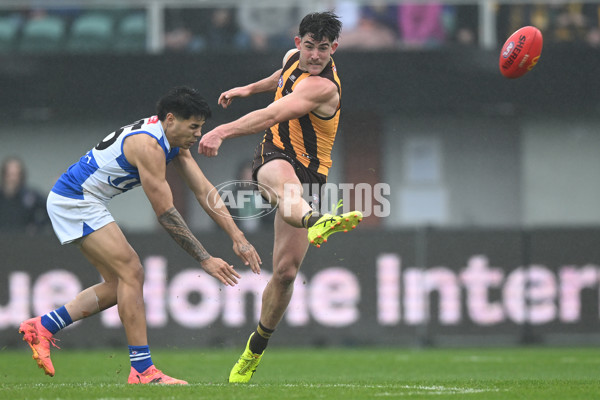 AFL 2024 Round 24 - Hawthorn v North Melbourne - A-53341992