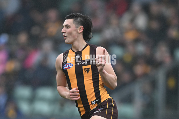 AFL 2024 Round 24 - Hawthorn v North Melbourne - A-53341994