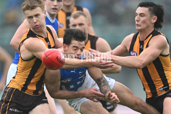 AFL 2024 Round 24 - Hawthorn v North Melbourne - A-53342021